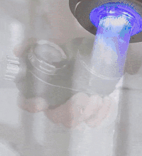 gif (29)